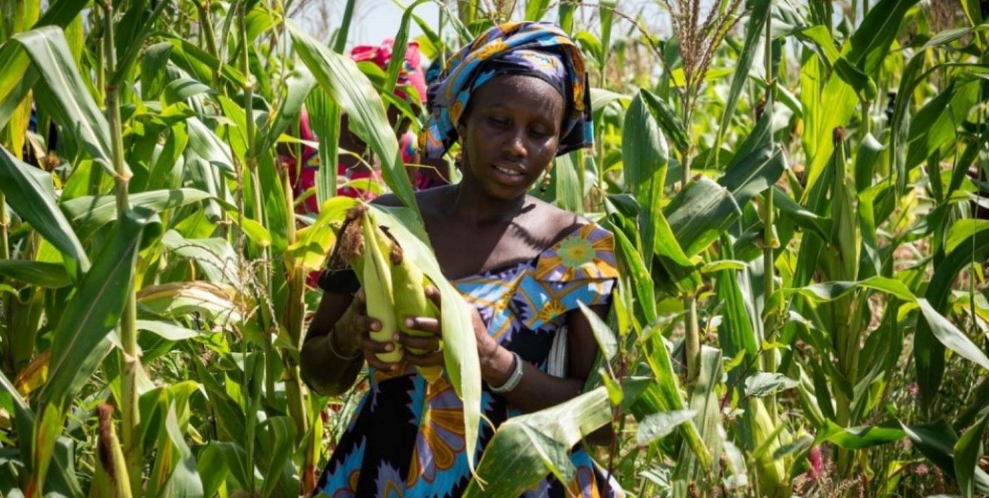 Agriculture
